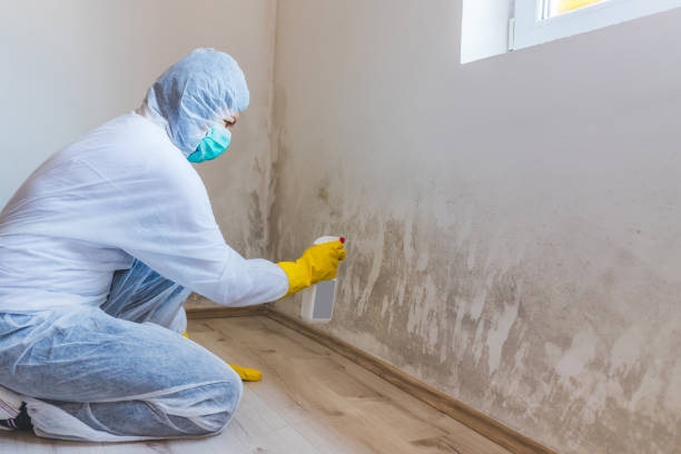 Mold inspector in Newton Center performing thermal imaging