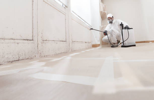 Black mold remediation team in Newton Center